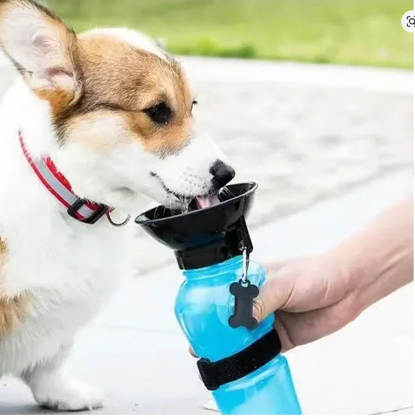 Garrafa de Água Para Pet